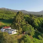 El Pino Centenario 8 Willa La Orotava