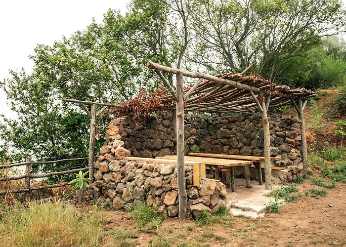 El Pino Centenario 8