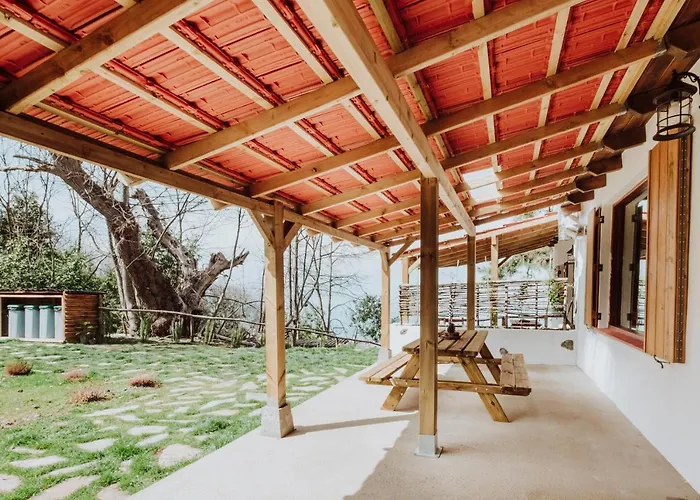 El Pino Centenario 8 ヴィラ ラ・オロタバ