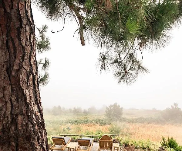 El Pino Centenario 8 וילה