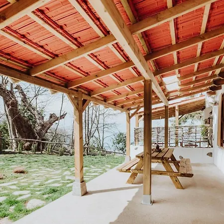 El Pino Centenario 8 Vila La Orotava