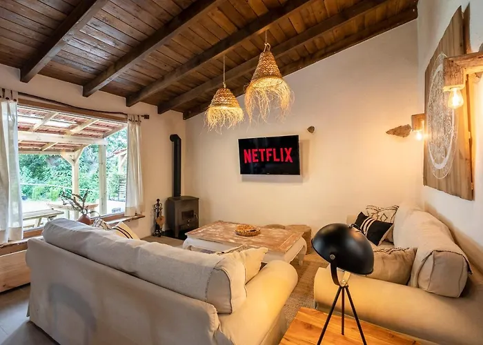 El Pino Centenario 8 *