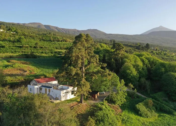 El Pino Centenario 8 Vila La Orotava